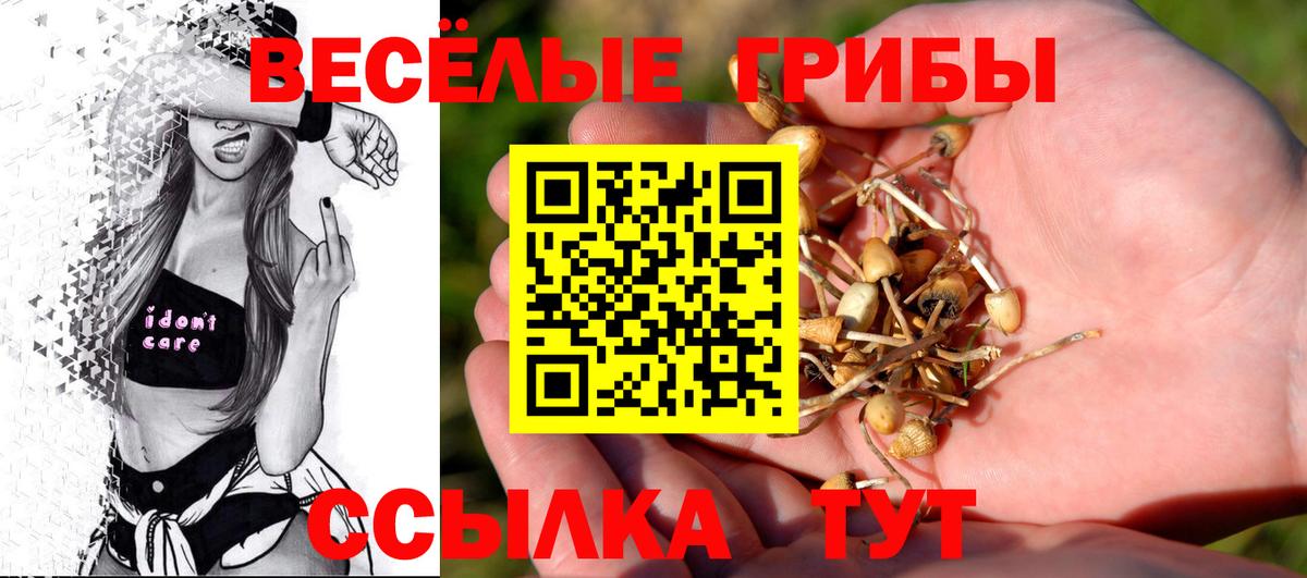 Псилоцибиновые грибы GOLDEN TEACHER Петровск