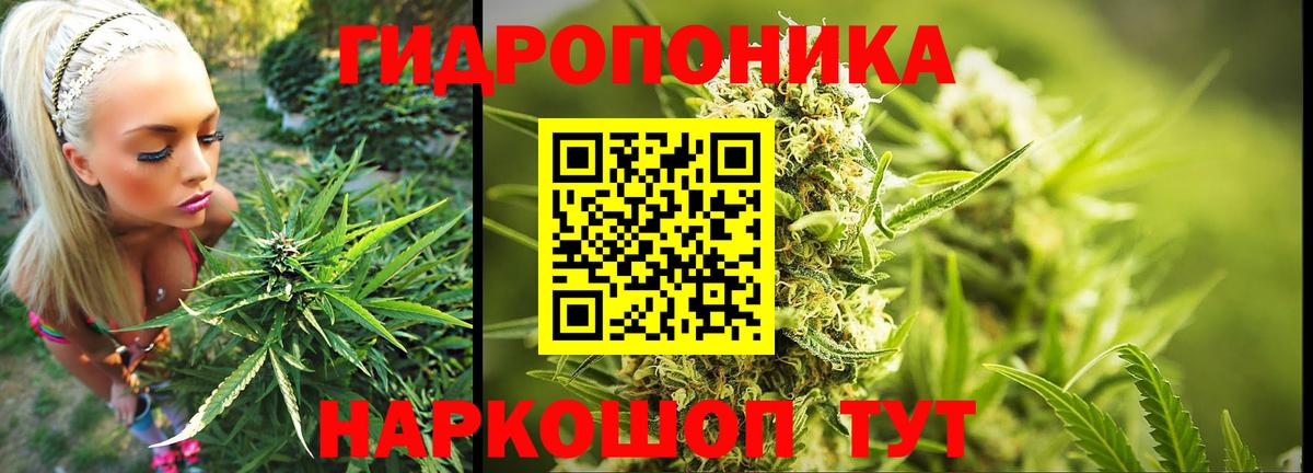 Петровск  МАРИХУАНА планчик  Вход с VPN  Каннабис марихуана  Каннабис SATIVA & INDICA 